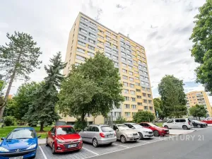 Pronájem bytu 1+1, Kolín, Na Magistrále, 30 m2