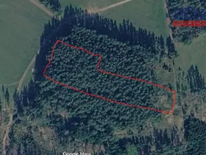 Prodej lesa, Želiv - Vřesník, 9639 m2