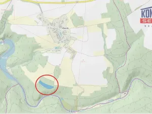 Prodej lesa, Želiv - Vřesník, 9639 m2