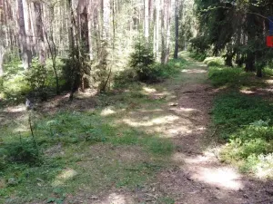 Prodej lesa, Hromnice - Chotiná, 41358 m2