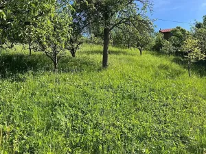 Prodej rodinného domu, Vítějeves, 329 m2