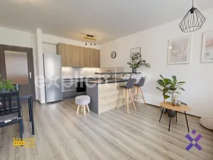 Pronájem bytu 2+kk, Zlín, Zelinova, 60 m2