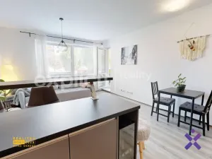 Pronájem bytu 2+kk, Zlín, Zelinova, 60 m2