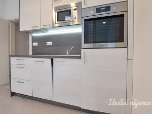 Pronájem bytu 1+kk, Brno, Střední, 29 m2