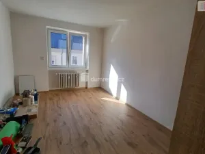 Pronájem bytu 3+1, Ústí nad Labem - Střekov, Purkyňova, 78 m2