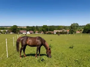Prodej rodinného domu, Mnich, 105 m2