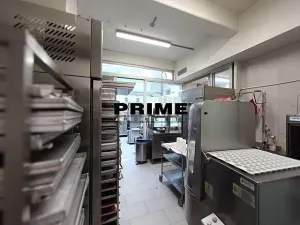 Pronájem obchodního prostoru, Praha - Vinohrady, Italská, 225 m2