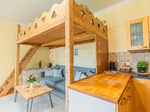 Prodej bytu 1+kk, Praha - Bubeneč, Kyjevská, 39 m2