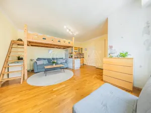 Prodej bytu 1+kk, Praha - Bubeneč, Kyjevská, 39 m2