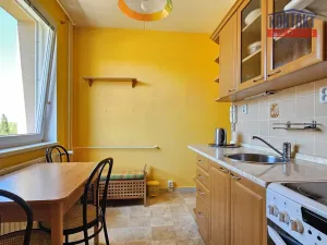 Pronájem bytu 2+1, České Budějovice, Netolická, 47 m2