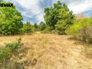 Prodej chalupy, Nalžovské Hory - Velenovy, 80 m2
