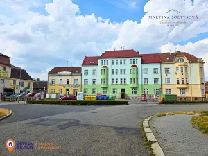 Pronájem bytu 2+1, Prostějov, Vodní, 63 m2