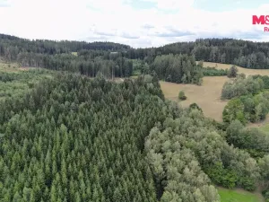 Prodej rodinného domu, Dřešín - Chvalšovice, 90 m2