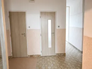 Prodej bytu 2+1, Ostrava, U Prodejny, 55 m2