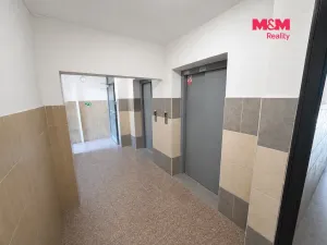 Prodej bytu 3+1, Ostrava - Bělský Les, Bohumíra Četyny, 68 m2