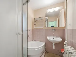 Prodej rodinného domu, Kyjovice, 100 m2