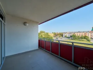Pronájem bytu 1+kk, Olomouc, Sokolovská, 51 m2