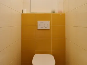 Pronájem bytu 1+kk, Olomouc, Sokolovská, 51 m2