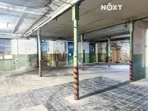 Pronájem skladu, Dětřichov, 6890 m2