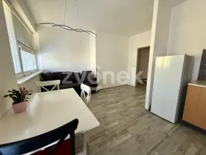 Pronájem bytu 2+kk, Zlín, Březnická, 46 m2