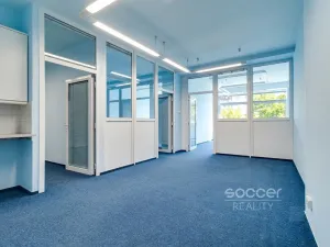 Pronájem kanceláře, Praha - Nové Město, Václavské náměstí, 85 m2