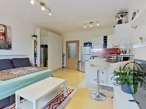 Pronájem bytu 1+kk, Praha - Vysočany, Jana Přibíka, 29 m2