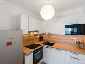 Prodej bytu 2+kk, Praha - Černý Most, Generála Janouška, 46 m2