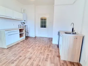 Pronájem bytu 2+1, Teplice, Josefa Hory, 60 m2