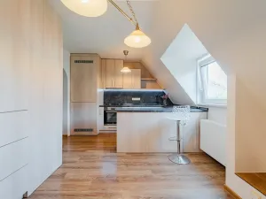Prodej bytu 3+1, Opava, Gogolova, 70 m2