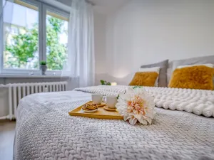 Pronájem bytu 2+1, Most, Čs. mládeže, 51 m2