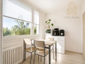 Prodej bytu 2+1, Ústí nad Labem - Střekov, Tolstého, 62 m2