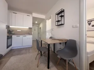 Pronájem bytu 2+kk, Praha - Smíchov, Plzeňská, 25 m2