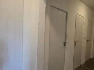 Prodej bytu 2+1, Brno, Souběžná, 55 m2