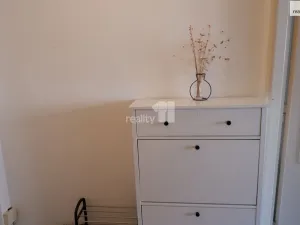 Pronájem bytu 1+kk, Příbram - Příbram VII, Pod Čertovým pahorkem, 27 m2