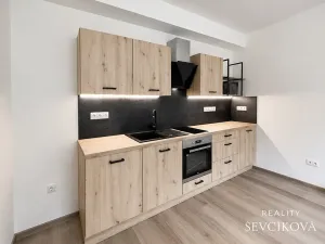 Pronájem bytu 1+kk, Hradec Králové, Bidlova, 30 m2