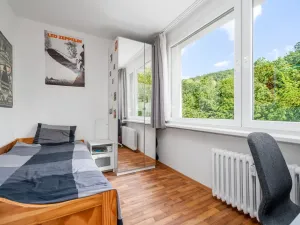 Prodej bytu 3+1, Ústí nad Labem - Severní Terasa, Šumavská, 64 m2
