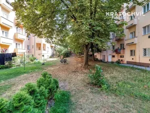 Prodej bytu 2+kk, Praha - Žižkov, Hartigova, 49 m2