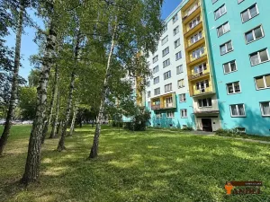 Prodej bytu 2+1, Havířov, Dlouhá třída, 49 m2
