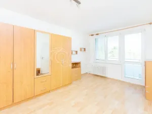Pronájem bytu 1+1, Tábor, Leskovická, 37 m2