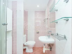 Pronájem bytu 1+1, Tábor, Leskovická, 37 m2
