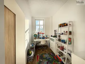 Pronájem bytu 2+1, Háj u Duchcova, Kubátova, 74 m2