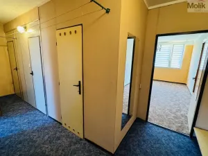 Prodej bytu 3+1, Most, Bělehradská, 68 m2