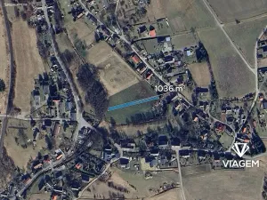 Prodej pole, Olešnice v Orlických horách, 1036 m2
