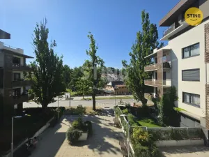 Pronájem bytu 1+kk, Jihlava, Vrchlického, 38 m2