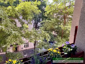 Pronájem bytu 2+kk, Praha - Žižkov, Hájkova, 59 m2
