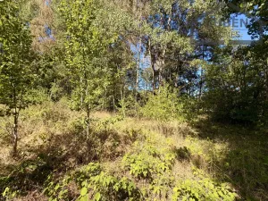 Prodej pozemku pro bydlení, Přimda - Újezd pod Přimdou, 904 m2