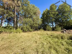 Prodej pozemku pro bydlení, Přimda - Újezd pod Přimdou, 904 m2