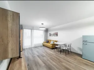 Pronájem bytu 2+kk, Praha - Karlín, Nekvasilova, 67 m2