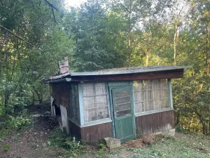 Prodej lesa, Štíty, 373 m2