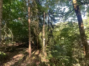 Prodej lesa, Štíty, 373 m2